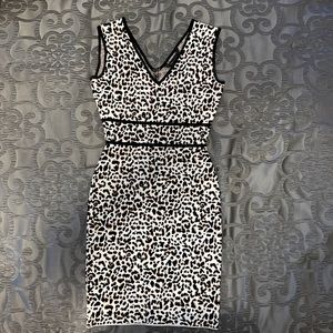 Leopard BCBG dress
